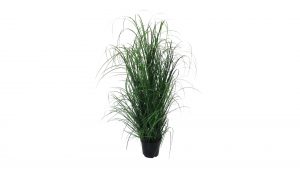 Grasbusch