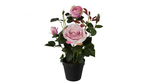 Rosenstock Lula ist eine getopfte künstliche Rosenpflanze mit drei rosafarbenen Rosen mit grünen Blättern vor einem weißen Hintergrund.