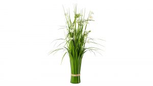 Grasbusch Lars