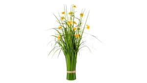 Grasbusch mit Cosmeablüten
