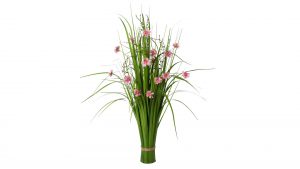 Grasbusch mit Cosmeablüten