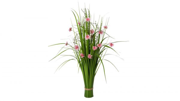 Grasbusch mit Cosmeablüten