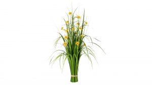 Grasbusch mit Cosmeablüten