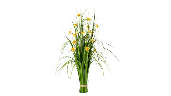 Grasbusch mit Cosmeablüten