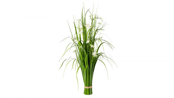 Grasbusch mit Cosmeablüten