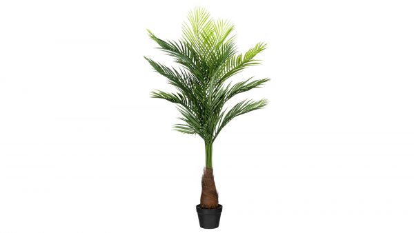 Die Goldfruchtpalme ist eine hohe künstliche Palme mit langen grünen Wedeln in einem schwarzen Topf, die aufrecht vor einem schlichten weißen Hintergrund steht.