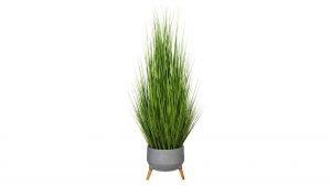 Grasbusch im Topf