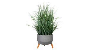 Grasbusch im Topf