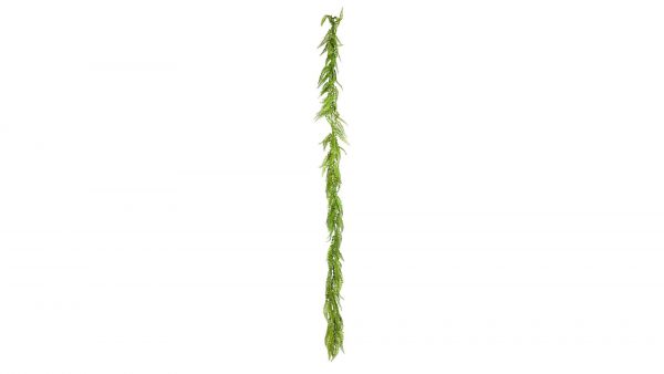 Frauenhaarfarn Adiantum-Girlande