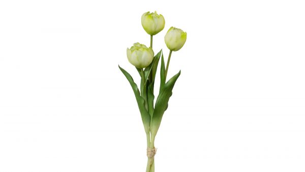Tulpenstrauß Ivon