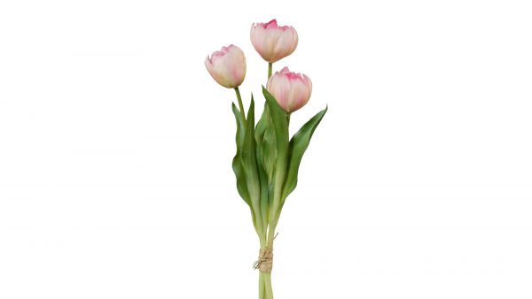 Tulpenstrauß Ivon
