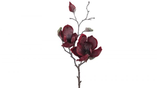 Magnolienzweig Polina