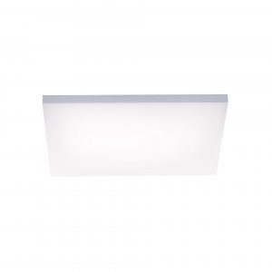 Paul Neuhaus Deckenlampe Frameless