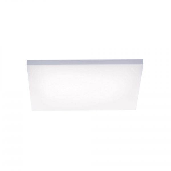 Paul Neuhaus Deckenlampe Frameless