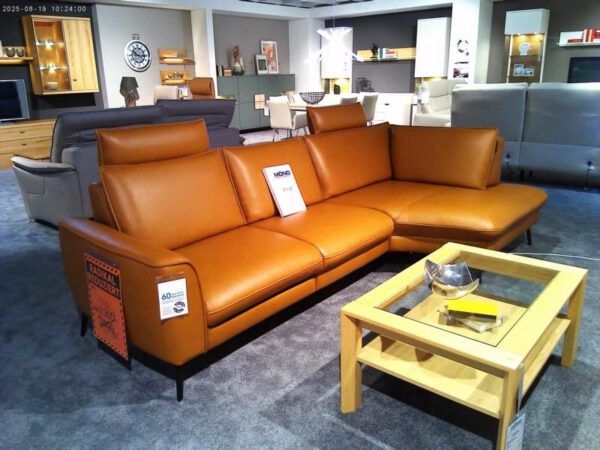 In einem modernen Ausstellungsraum steht das Garnitur "Pirna", ein großes braunes Ledersofa mit Anhängern, das neben einem hellen Couchtisch mit einer dekorativen Schale und Büchern steht. Im Hintergrund sind weitere Sofas und Regale zu sehen.